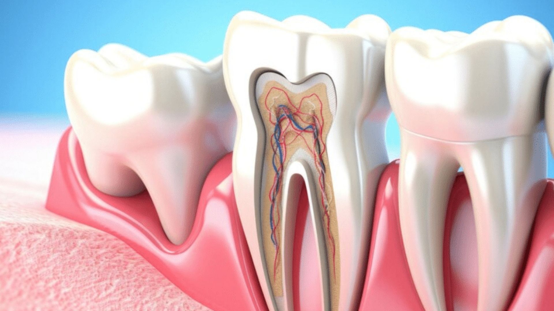 Root Canal Treatment in Bhubaneswar